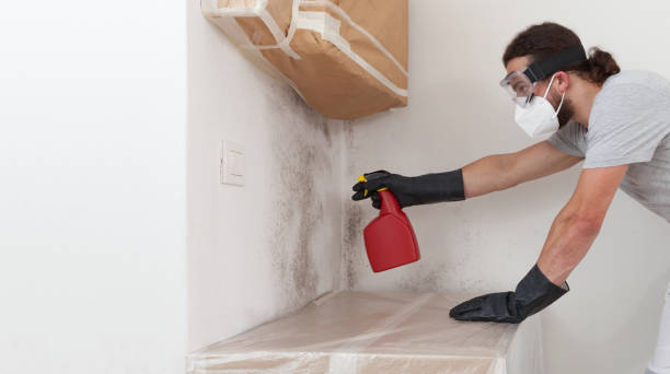 Professional Mold Testing technician working in Marlborough, MA